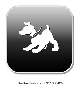 pet icon