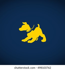 pet icon