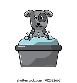 pet icon image 