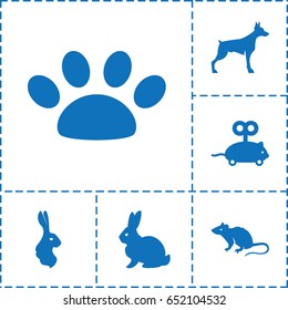 Pet icon. set of 6 pet filled icons such as rabbit, dog, mouse, mouse toy