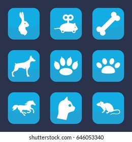Pet icon. set of 9 filled pet icons such as dog, mouse, horse, rabbit, mouse toy, paw, cat