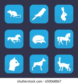 Pet icon. set of 9 filled pet icons such as horse, hedgehog, dog, mouse, parrot, rabbit