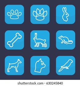Pet icon. set of 9 outline pet icons such as dog, mouse, parrot, rabbit, paw, cat