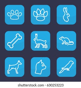 Pet icon. set of 9 outline pet icons such as dog, mouse, parrot, rabbit, paw, cat