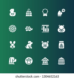 pet icon set. Collection of 16 filled pet icons included Cage, Dog house, Animal, Dog, Dog food, Cat, Pet, Rabbit, Hamster, Tortoise, Frisbee, Collar, Bird cage, Ducky