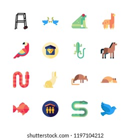 pet icon set. vector set about frog, shelter, horse and goldfish icons set.