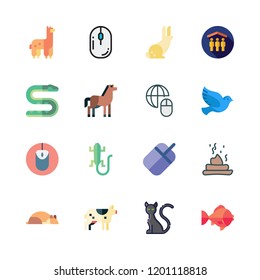 pet icon set. vector set about snake, pigeon, black cat and lizard icons set.