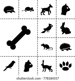 Pet icons. set of 13 editable filled pet icons such as rabbit, hedgehog, mouse, parrot, paw, cat, bone, dog