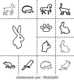 Pet icons. set of 13 editable outline pet icons such as rabbit, horse, hedgehog, mouse, parrot, cat, paw