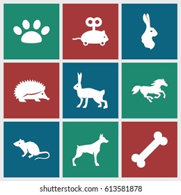Pet icons set. set of 9 pet filled icons such as hedgehog, dog, mouse, horse, rabbit, mouse toy, paw