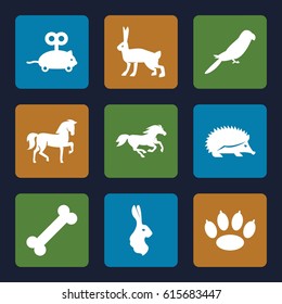 Pet icons set. set of 9 pet filled icons such as horse, hedgehog, parrot, rabbit, mouse toy, paw