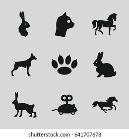 Pet icons set. set of 9 pet filled icons such as rabbit, horse, dog, mouse toy, paw