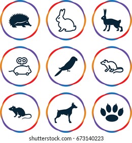 Pet icons set. set of 9 pet filled and outline icons such as hedgehog, dog, mouse, parrot, rabbit, mouse toy