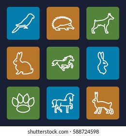 pet icons set. Set of 9 pet outline icons such as rabbit, horse, hedgehog, dog, parrot