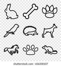 Pet icons set. set of 9 pet outline icons such as rabbit, hedgehog, dog, mouse, parrot, horse, paw