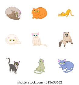 Pet icons set. Cartoon illustration of 9 pet vector icons for web
