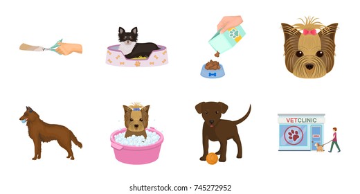 Pet icons in set collection for design. Care and education vector symbol stock web illustration.