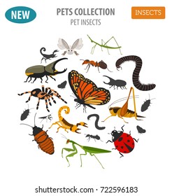 Pet insects breeds icon set flat style isolated on white. House keeping bugs, beetles, sticks, spiders and other collection. Create own infographic about pets. Vector illustration