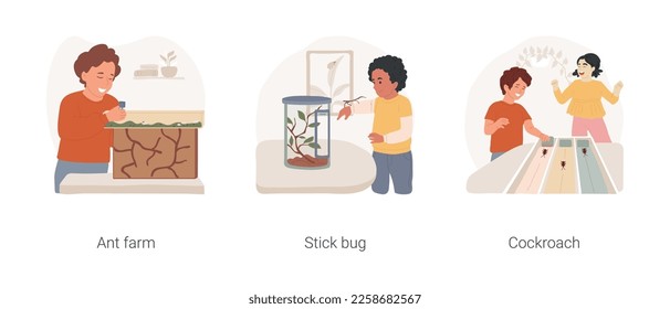 Pet insects isolated cartoon vector illustration set. Ant farm for children, observing ant toy, stick bug pet, keeping insect at home, cockroach racing, kids play with roaches vector cartoon.