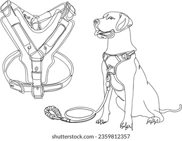 Pet Leash and Harness Collection - Cartoon Style Vector Set, Pet Accessories - Dog Harness Belt Icon Set, Illustrated Dog Harness and Leash Set, Pet Accessories in Cartoon Style