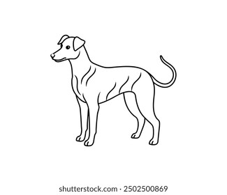 Pet Line Icons. Editable Stroke. Pixel Perfect. For Mobile and Web. Contains such icons as Dog, Cat, Parrot, Puppy, Bird, Tortoise, Kitten, Chick, Pig, Dog Bone, Hut, Vet, Dog  vector illustration.