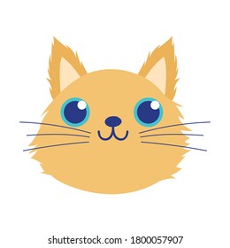 pet little cute cat head cartoon isolated white background design vector illustration