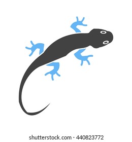 Pet Lizard