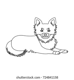 A pet, a lying dog. Pet ,dog care single icon in outline style vector symbol stock illustration web.