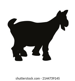pet mascot goat icon vector illustration