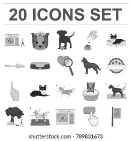 Pet monochrome icons in set collection for design. Care and education vector symbol stock web illustration.