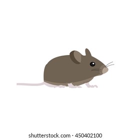 Mouse animal Icons – Download for Free in PNG and SVG