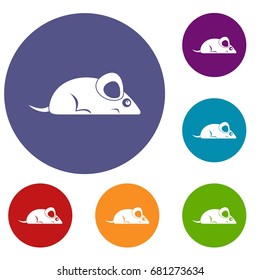 Pet mouse icons set in flat circle red, blue and green color for web