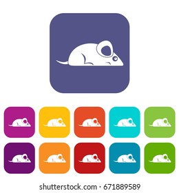 Pet mouse icons set vector illustration in flat style In colors red, blue, green and other
