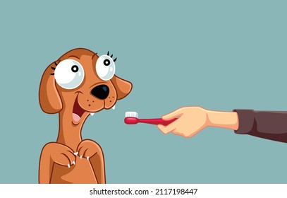 
Pet Owner Holding a Toothbrush for his Dog Vector Illustration. Professional vet doctor taking care of oral health of a domestic animal
