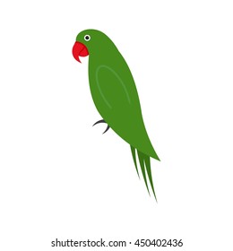 Pet Parrot