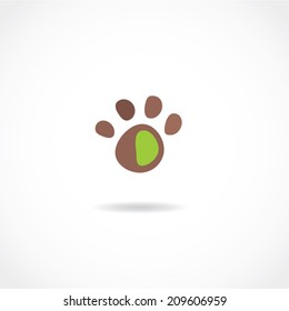 icono de pepita