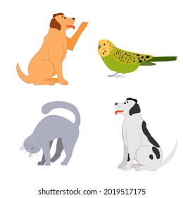 pet pets: dog, labrador, cat, parrot, budgerigar. cute animals. veterinary medicine. friends of man. stock vector illustration isolated on white background.