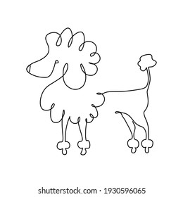 Pet Poodle drawing one line isolated on white, Simple Dog Design Art Vector Illustration. Self-drawing of one continuous line.