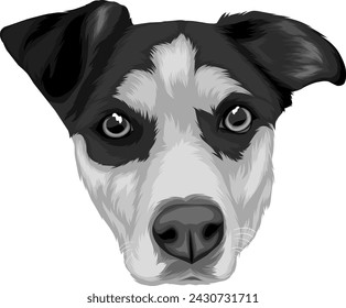 Pet portraits, this is digital painting using the infinite design apk, not generated by AI