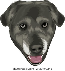 Pet portraits, this is digital painting using the infinite design apk, not generated by AI