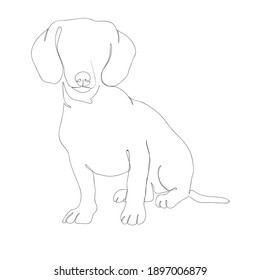 Pet porttrait continuous line art