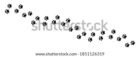 Similar – Image, Stock Photo Wet dog paw prints on the pavement stones