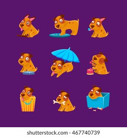 Pet Puppy Everyday Activities Collection