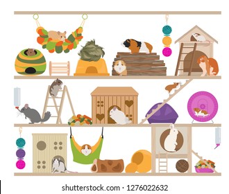 Pet rodents home accessories icon set flat style isolated on white. Care collection. Create own infographic about guinea pig, rat, hamster, chinchilla, mouse, rabbit. Vector illustration