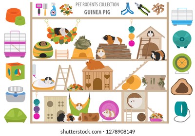 Pet rodents home accessories icon set flat style isolated on white. Care collection. Create own infographic about guinea pig, rat, hamster, chinchilla, mouse, rabbit. Vector illustration