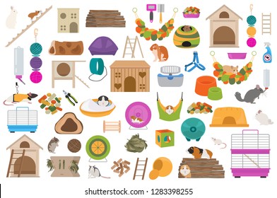 Pet rodents home accessories icon set flat style isolated on white. Care collection. Create own infographic about guinea pig, rat, hamster, chinchilla, mouse, rabbit. Vector illustration