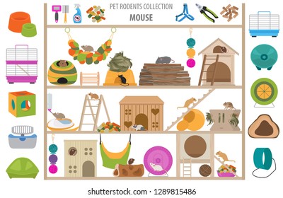 Pet rodents home accessories icon set flat style isolated on white. Care collection. Create own infographic about guinea pig, rat, hamster, chinchilla, mouse, rabbit. Vector illustration