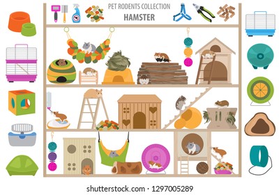 Pet rodents home accessories icon set flat style isolated on white. Care collection. Create own infographic about guinea pig, rat, hamster, chinchilla, mouse, rabbit. Vector illustration