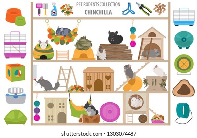 Pet rodents home accessories icon set flat style isolated on white. Care collection. Create own infographic about guinea pig, rat, hamster, chinchilla, mouse, rabbit. Vector illustration