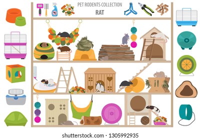 Pet rodents home accessories icon set flat style isolated on white. Care collection. Create own infographic about guinea pig, rat, hamster, chinchilla, mouse, rabbit. Vector illustration